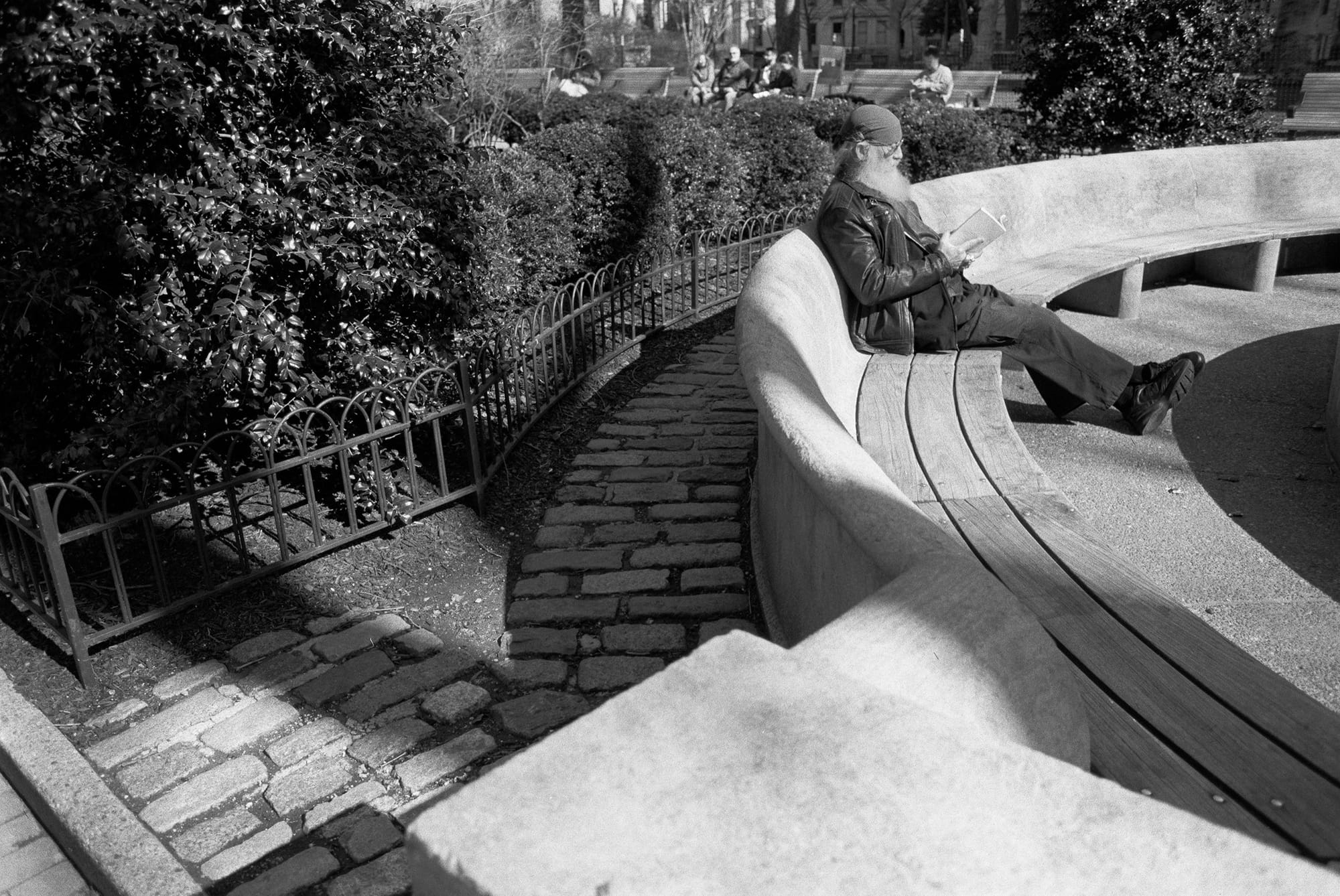 A bearded man in a leather jacket reading on a curved park bench, a low iron railing and clipped hedge behind him