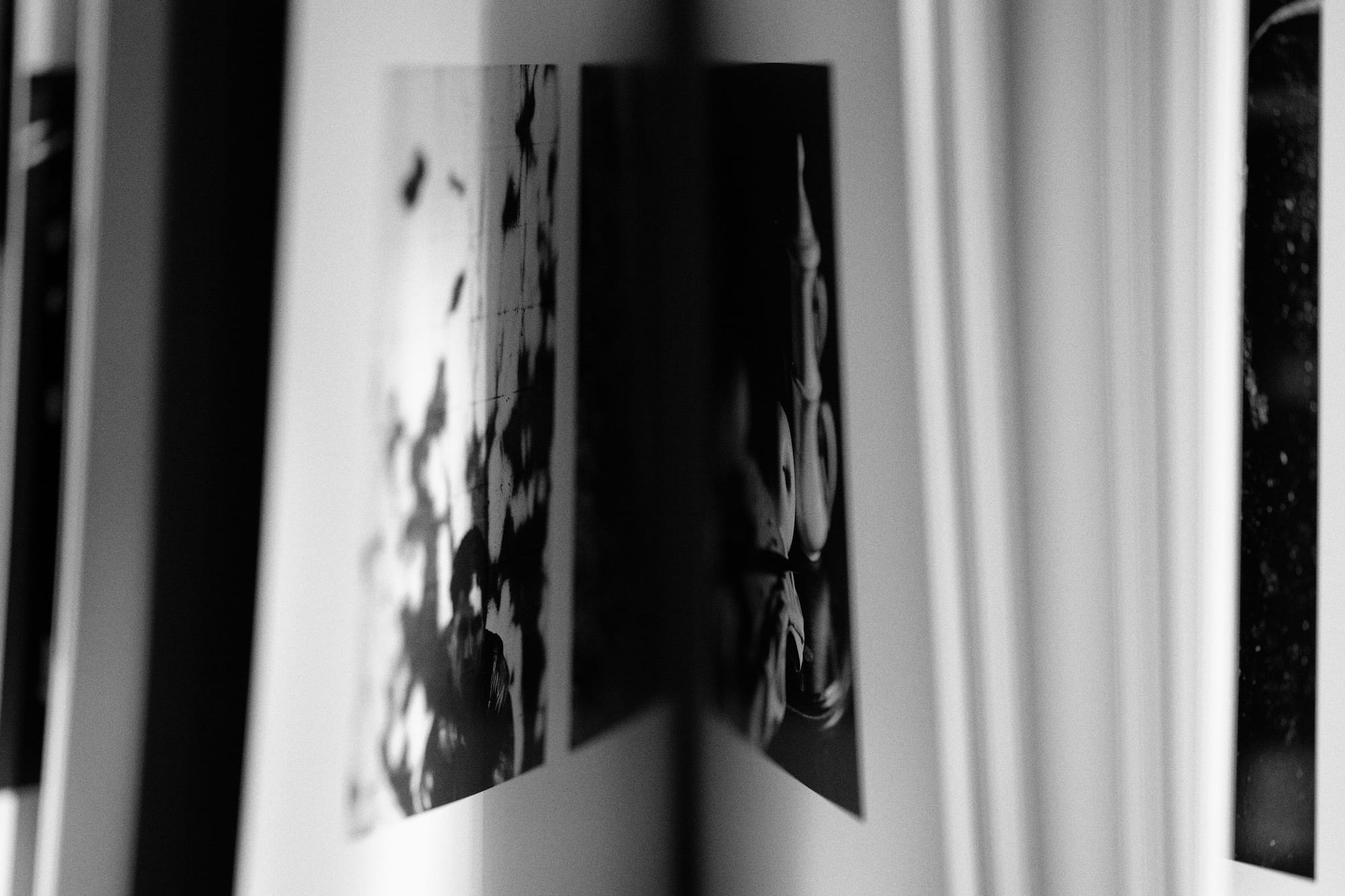 Inside pages of book