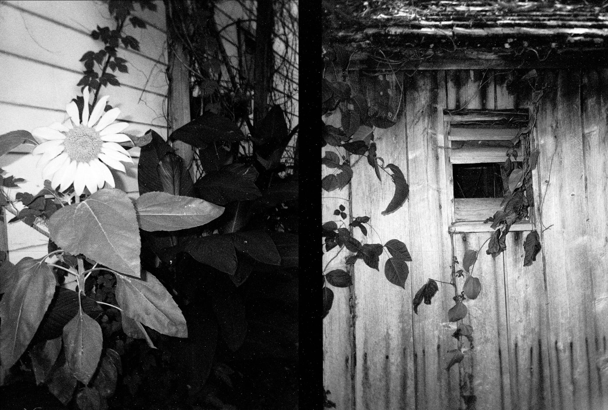 Half-frame diptych