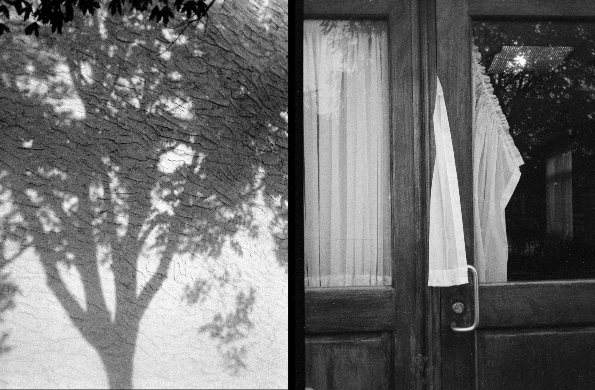 Half-frame diptych