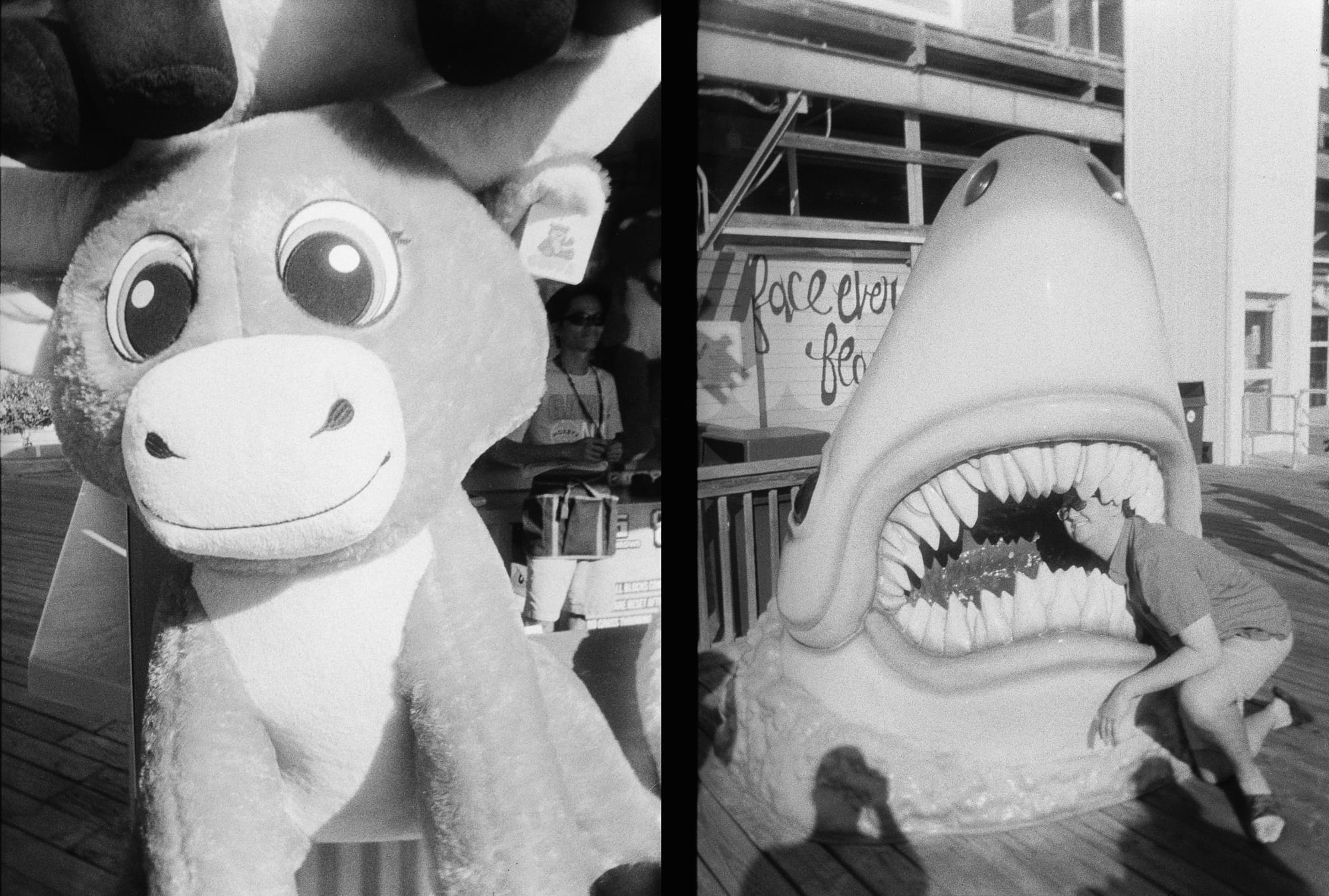 Half-frame diptych