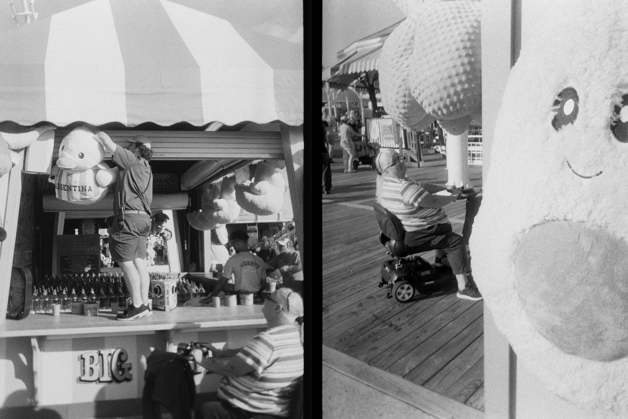 Half-frame diptych